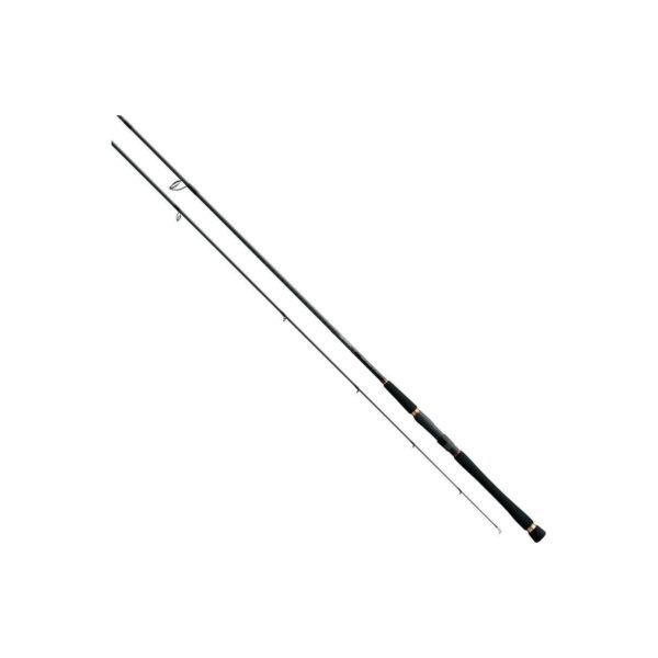 seabass-hunter.jpg
