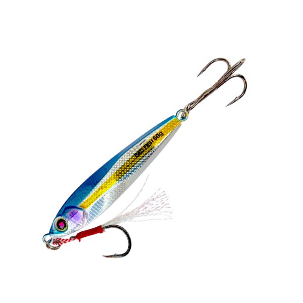 SARDINE-BLUE SARDINE