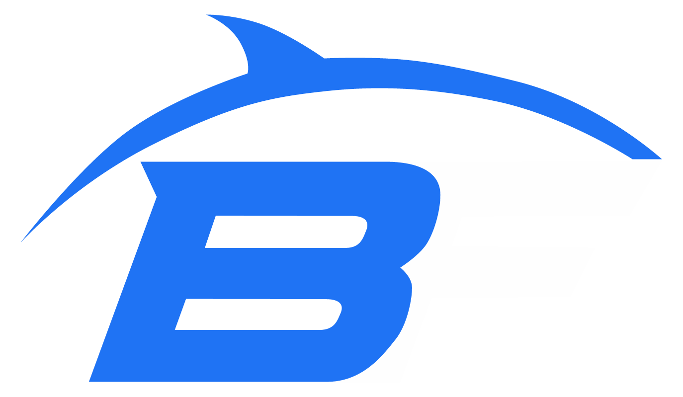 Bluefishing